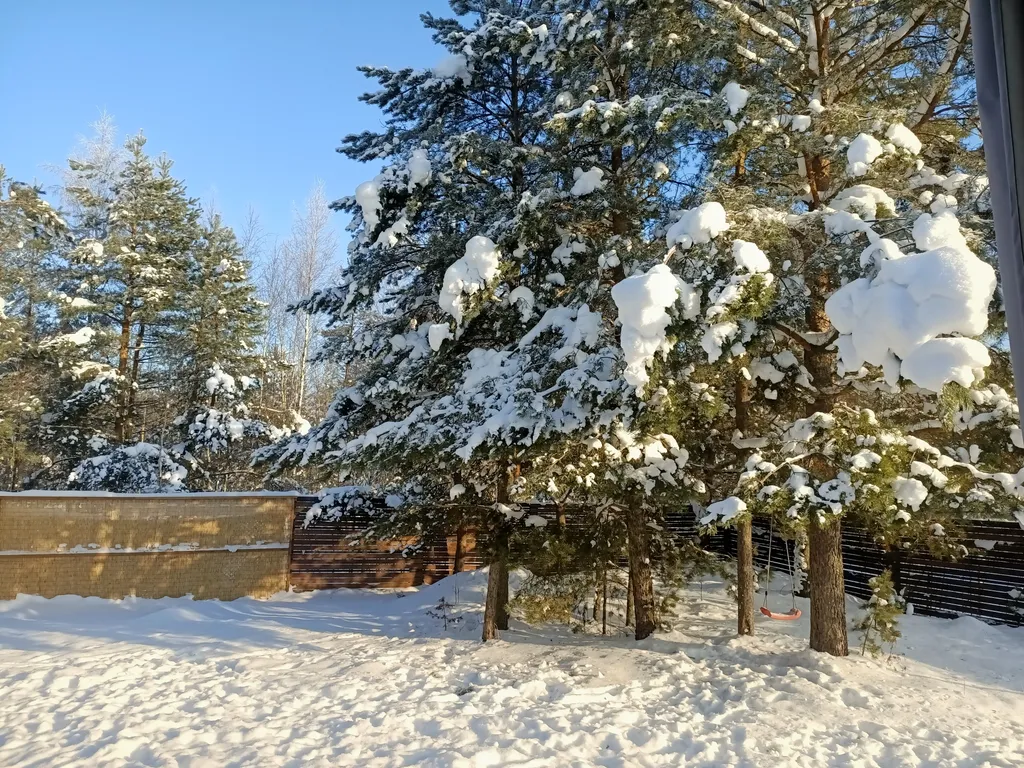 Уютный барнхаус с видом на лес