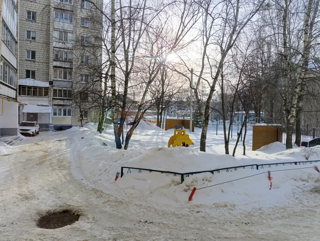 Городские джунгли в самом сердце