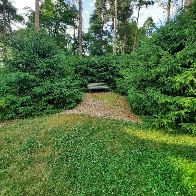 Дом-студия у Монрепо