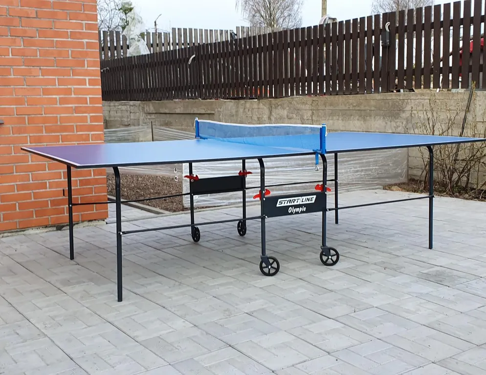 Дом с камином, зоной барбекю, батутом