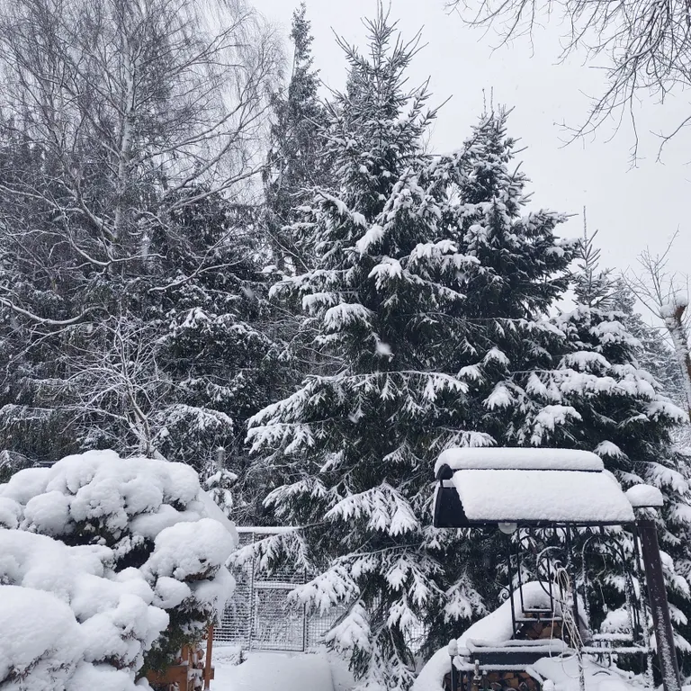 Новый год в Подмосковье. Идеальный дом с баней и чаном