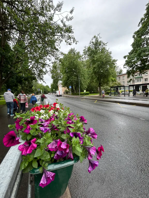 Загородная уютная квартира в лесу