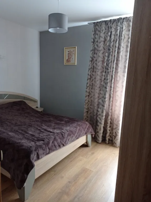 Квартира Уютная квартира — Светлогорск