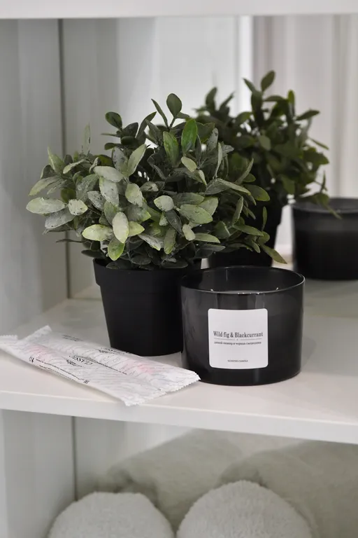 Квартира Апартаменты Люкс Comfort life — Красноярск