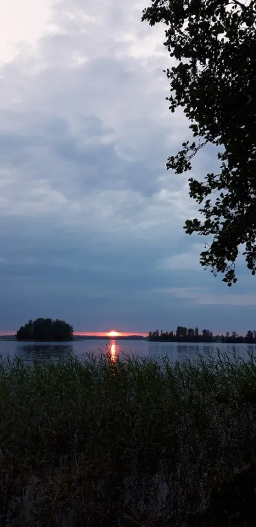 Коттедж Тёплый коттедж с баней на очень большой уединённой территории — Кротово
