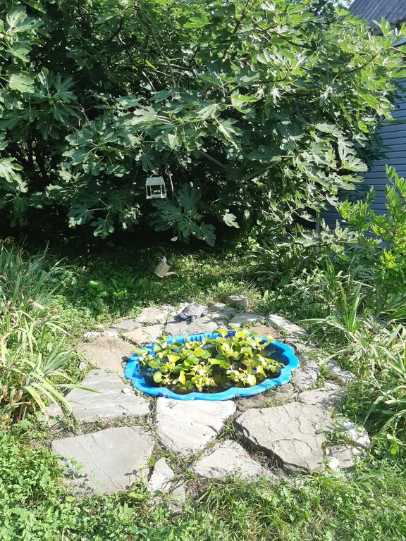 Коттедж Коттедж Эко -дача на море — Пляхо