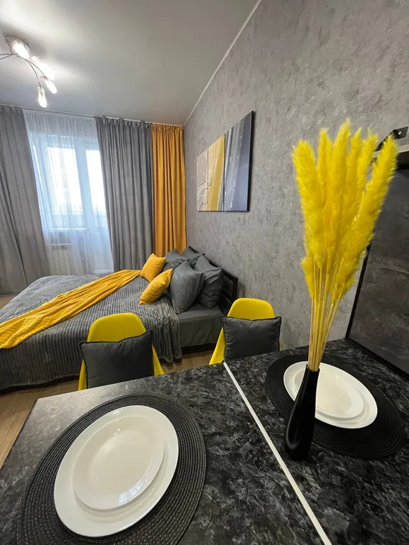 Уютная, комфортабельная квартира студия