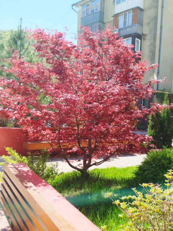 ЖК San Hills, уютная студия на берегу моря