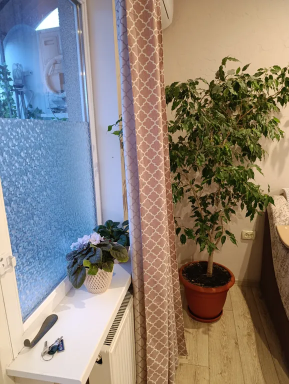 Студия в центре