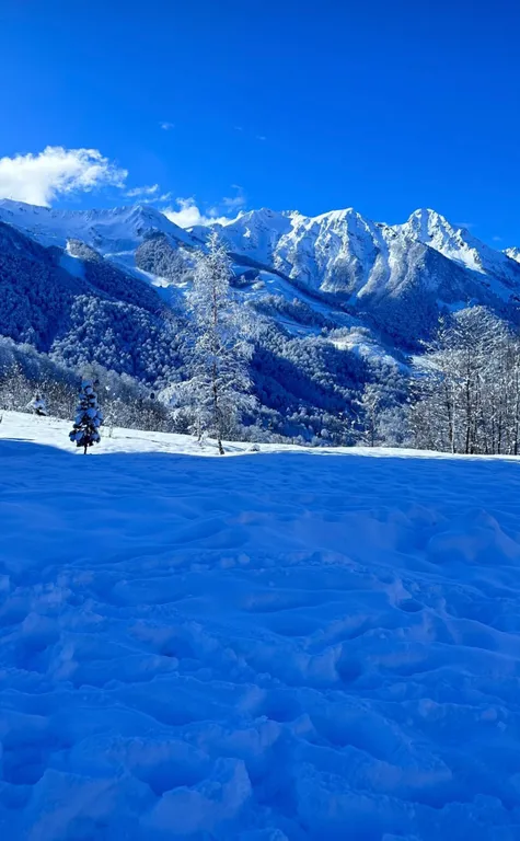 5-комнатный Дом