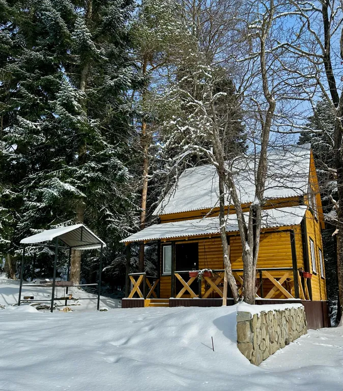 Коттедж 3-комнатный Дом — Архыз