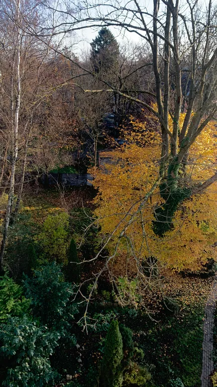 Квартира Просторные апартаменты в старинном районе города Амалиенау — Калининград