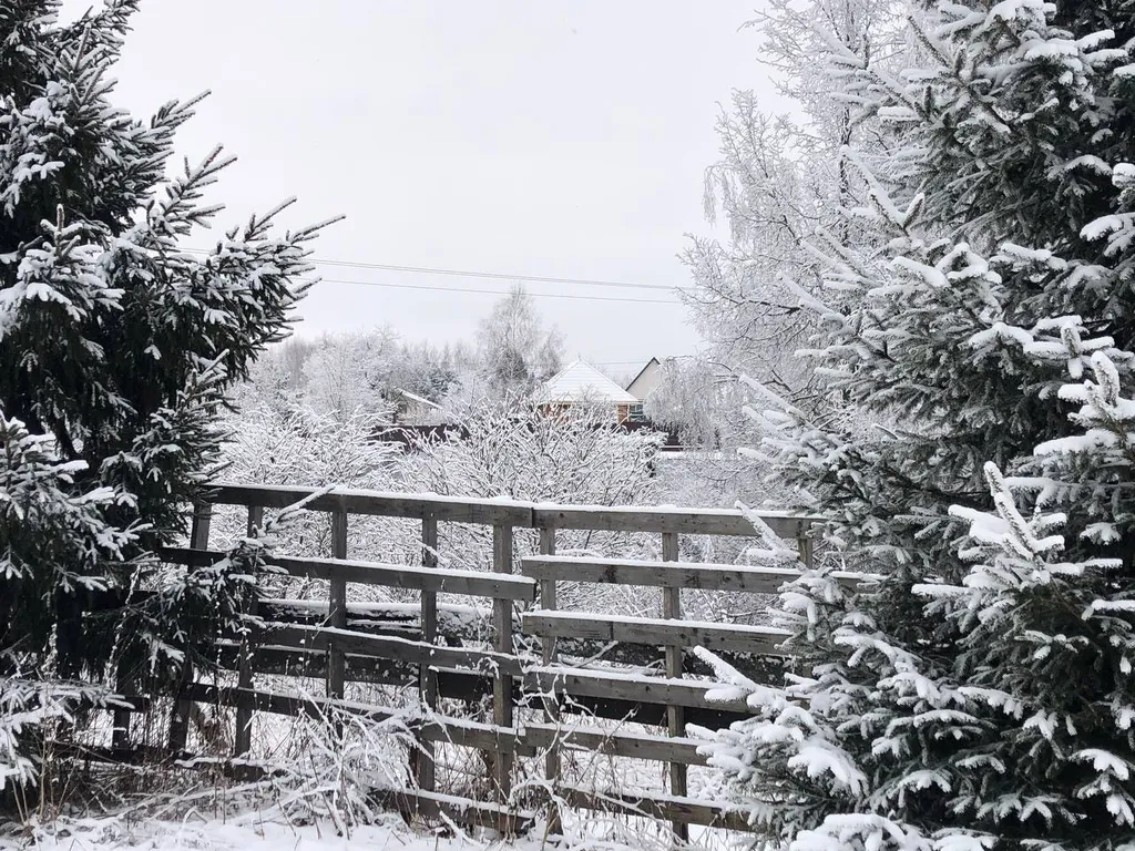 Уютный барнхаус в скандинавском стиле у горнолыжного курорта Сорочаны