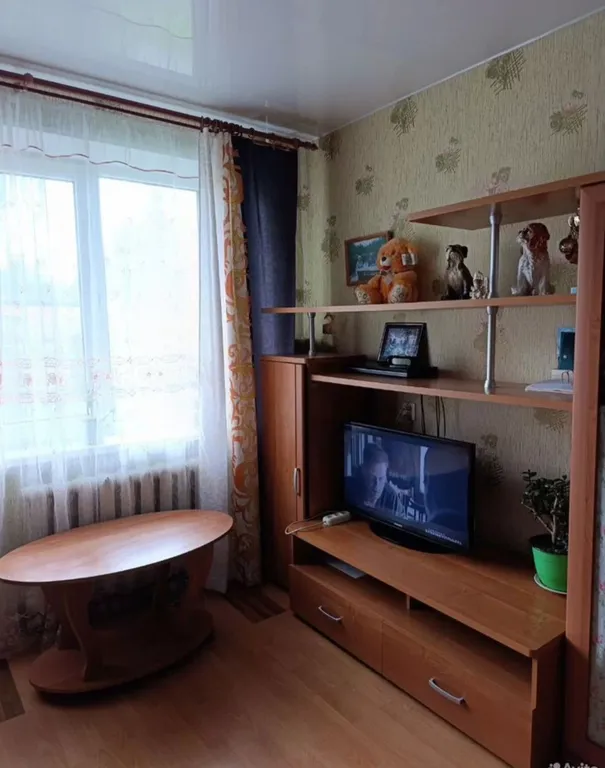 Квартира в Пушкинских Горах