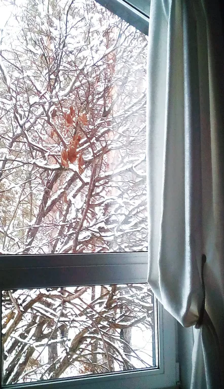 Дом с котом