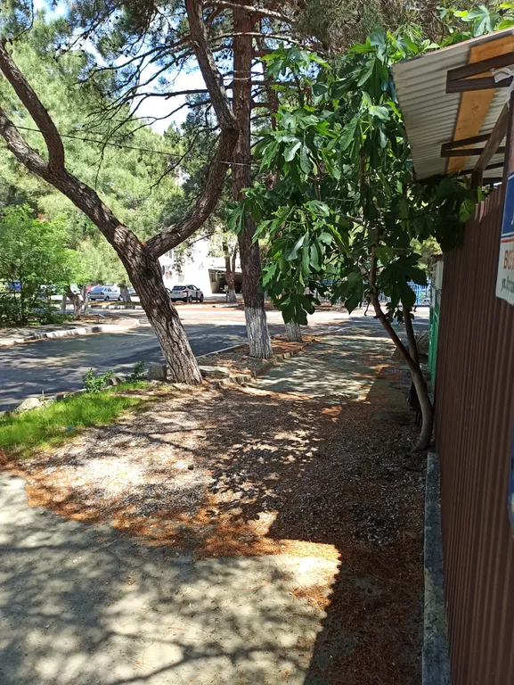 Уютная комната в частном секторе около моря