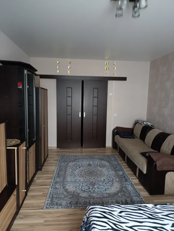 Чижовка Арена, Дельфинарий, Дино-парк, метро Автозаводская 10мин