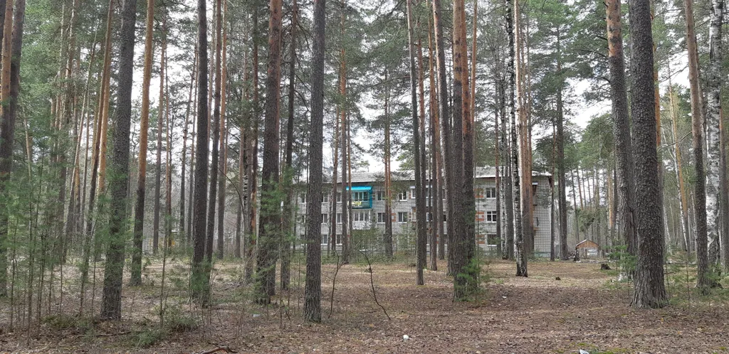 3-комнатные апартаменты у озера Лесная сказка