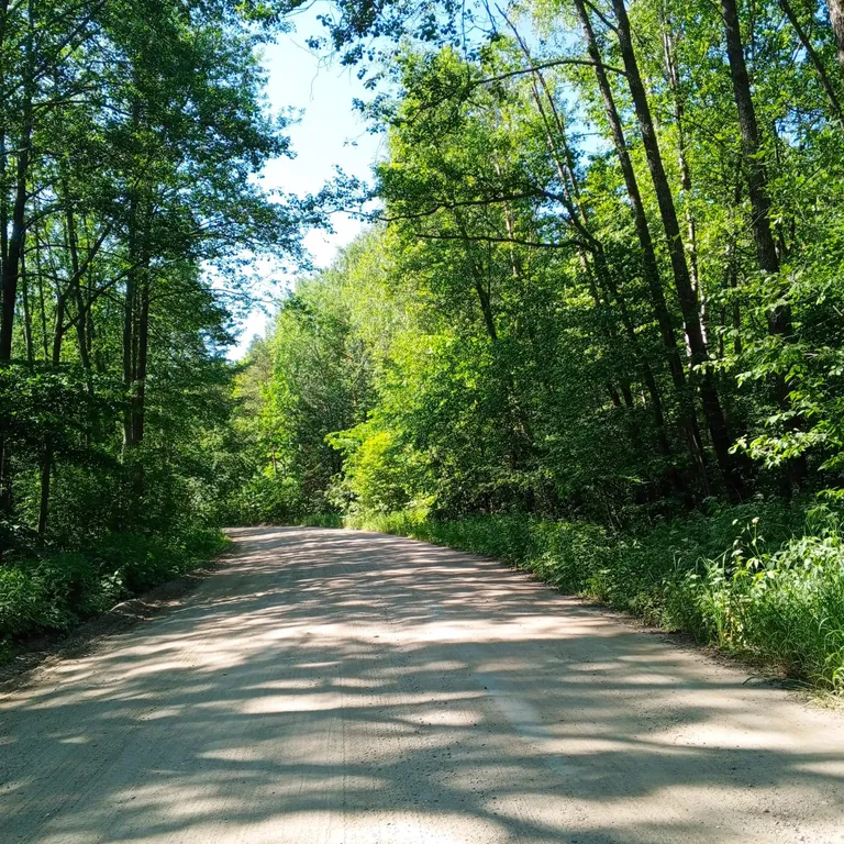 Дом для большой компании