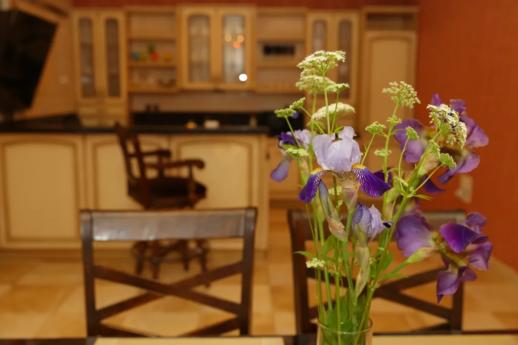 Домик на Курортном