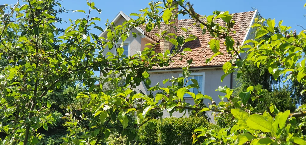 Апартамент в загородном доме филино с сауной, садом и барбекю