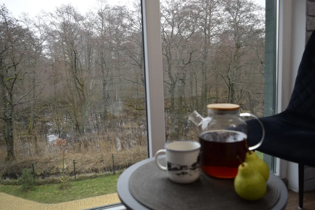 Уютная квартира с видом на лес Куршской косы