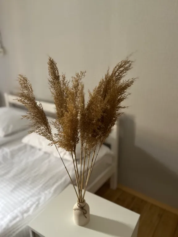 Квартира Комната — Архыз