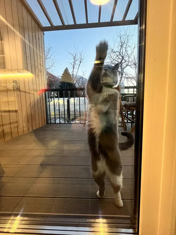 Дом Луна с домашним кинотеатром и Алисой в 7 минутах от подъемника 1