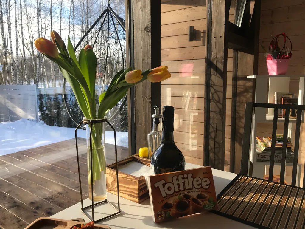 Уютный современный дом на берегу прекрасного озера