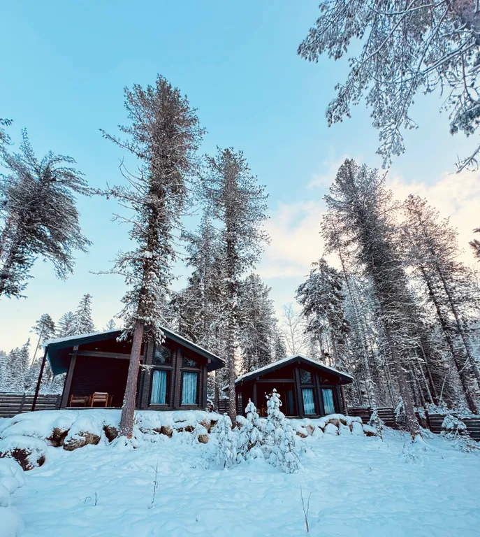 Шале темный