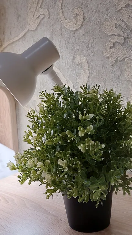 Лучшие апартаменты на Мега-Леруа Мерлен