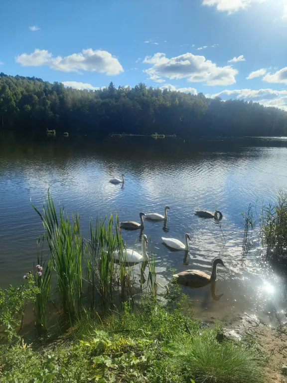 Квартира Квартира Апартамент в центре на море у озера — Светлогорск