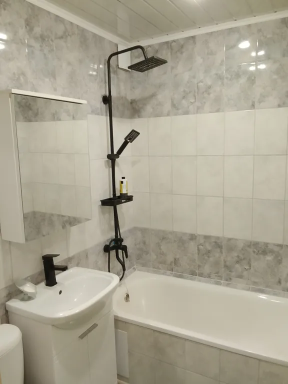 Серебрянка