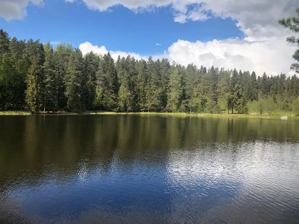 Уютный дом на лесном участке у озера, рядом с городом