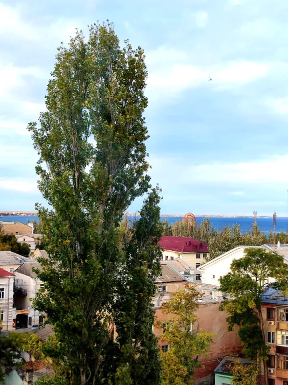 Квартира Квартира с видом на море и горы — Феодосия