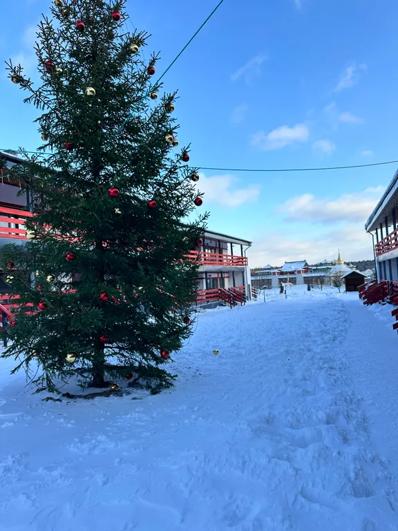 Новые Двухуровневые апартаменты в Этномире