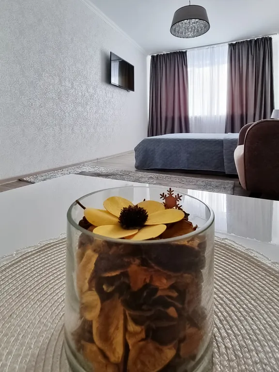 Уютная, чистая квартира в центре города