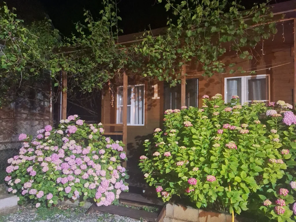 Коттедж Коттедж Quest hause Ahan — Гагра