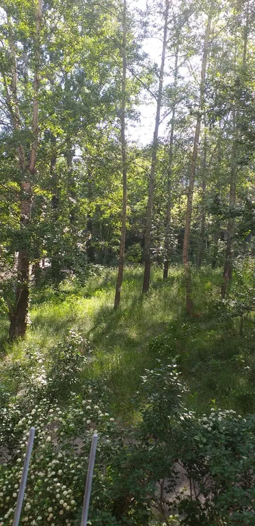 Квартира в центре Машгородка с большой открытой лоджией