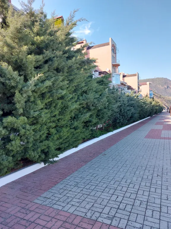 Апартаменты 2-комнатные у Моря первая береговая