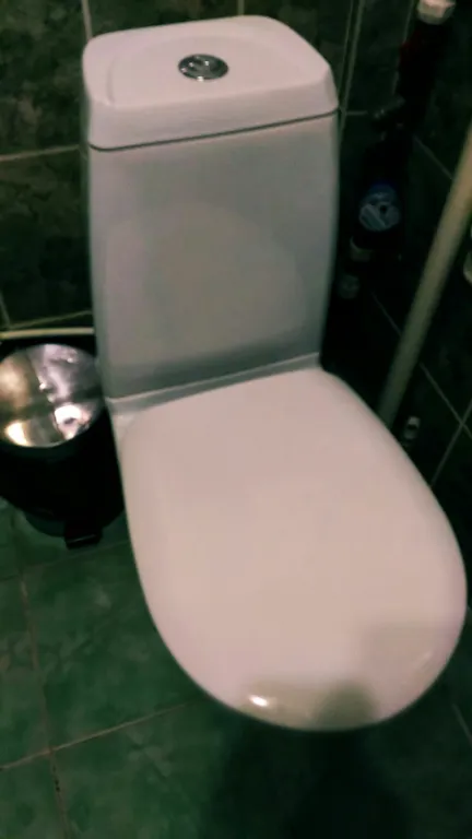 Видовая квартира напротив фонтанов Музея-заповедника Петергоф