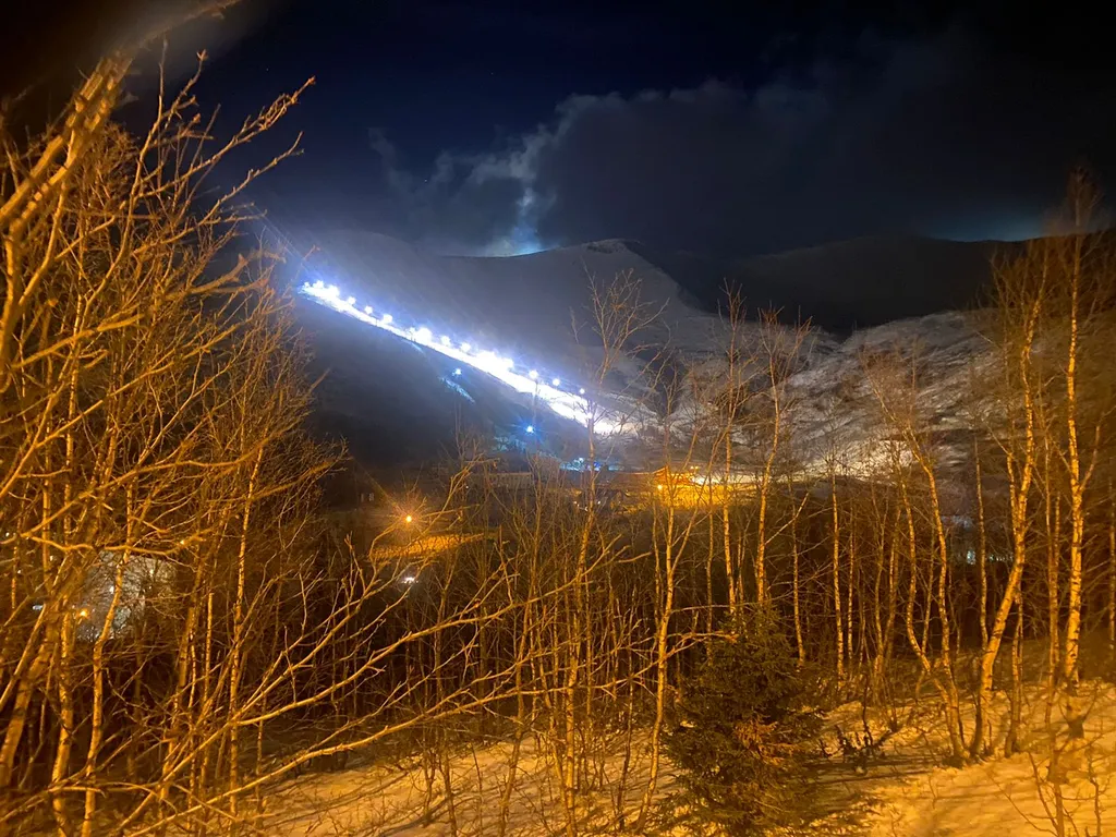 Уютная и чистая квартира