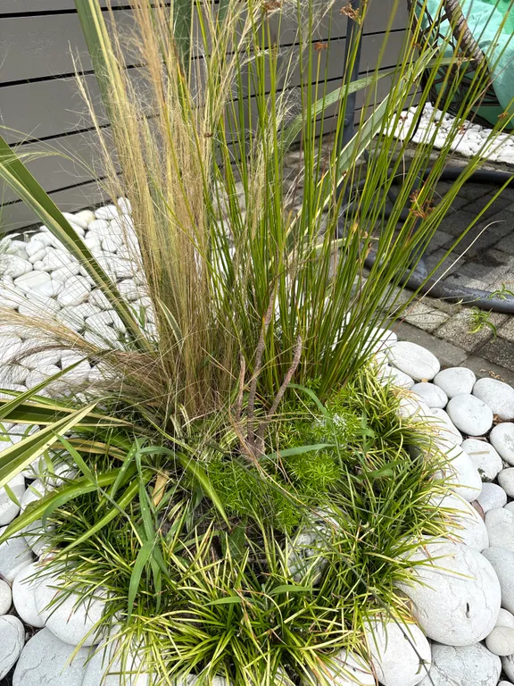 Квартира Делюкс комната с удобствами в лучшем районе Сириуса — Сириус