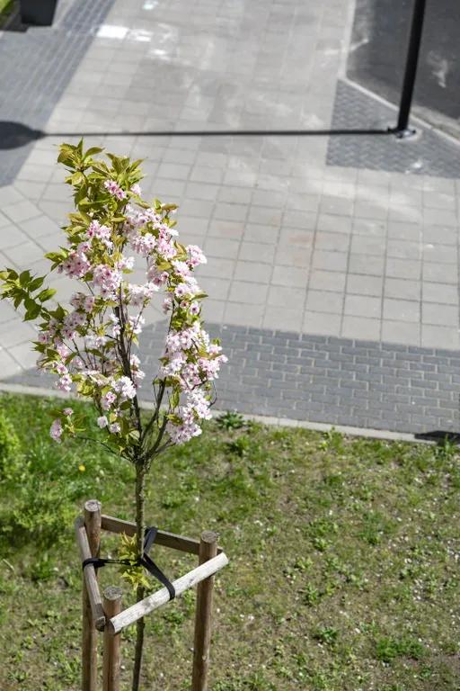 Квартира Квартира в ЖК комфорт-класса Белый сад — Калининград