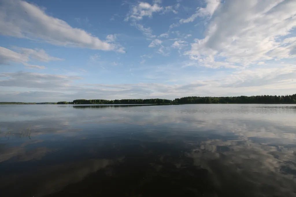 Коттедж Деревянный коттедж на Можайском водохранилище — Можайск