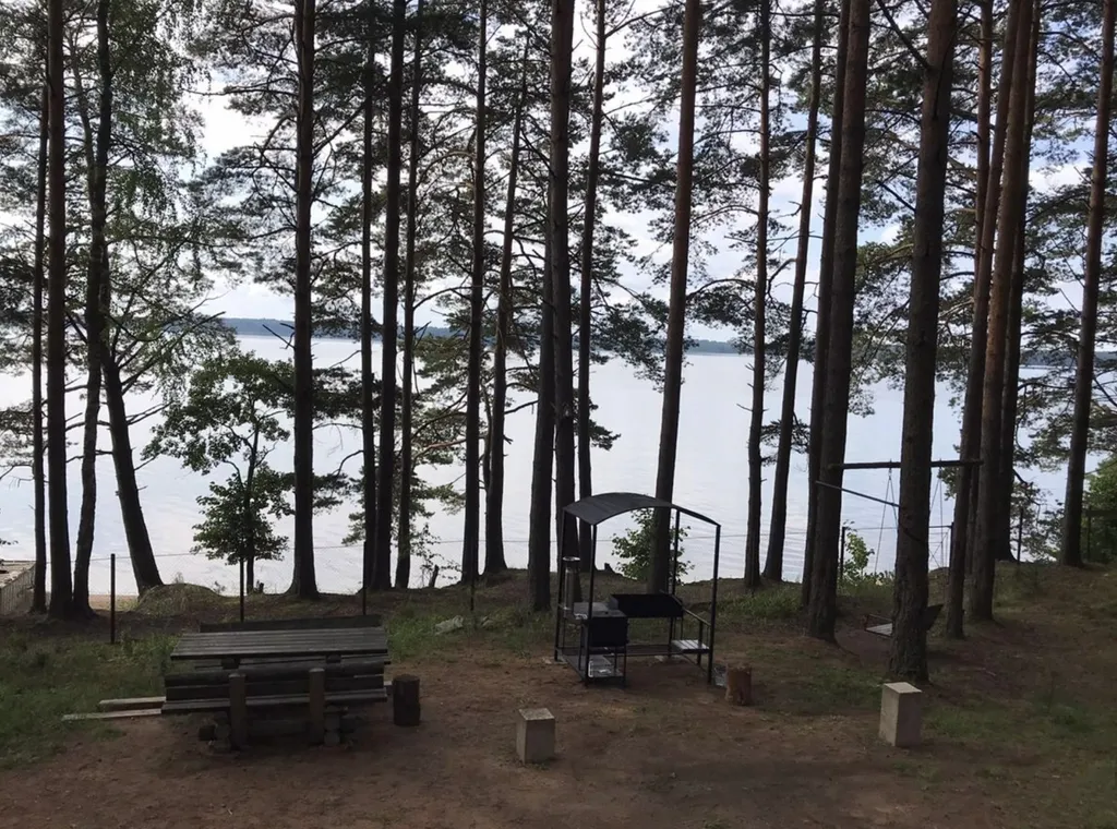 Коттедж Дом на первой линии озера Волго — Турбаза Чайка