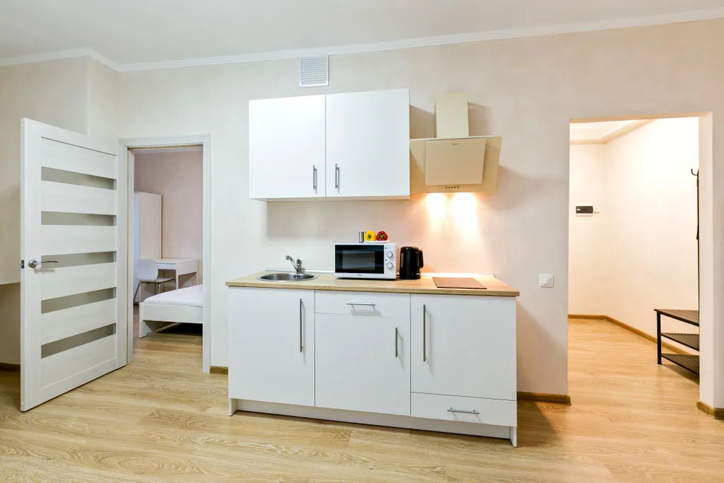 Laspace apart panorama кухня-гостиная спальня стиралка