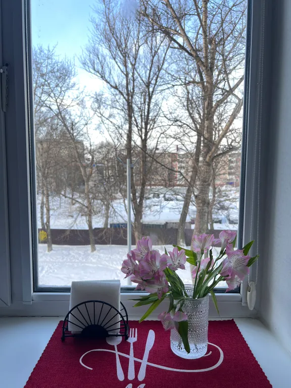 Уютная квартира со свежим ремонтом