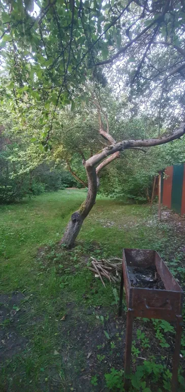 Коттедж Уютный домик в самом центре Зеленоградска — Зеленоградск