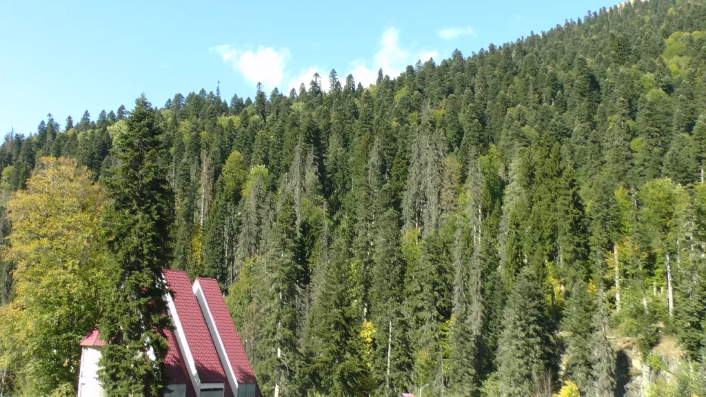 Просторная квартира с видом на горы в посëлке Домбай.